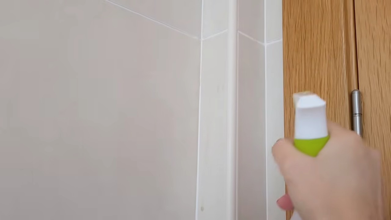 Cinnamon Uses Around the House