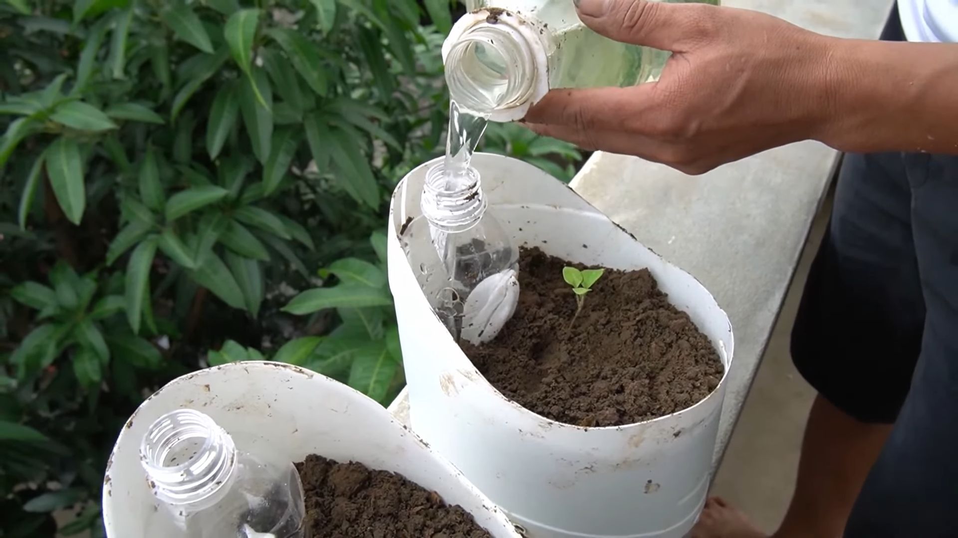 Balcony Bell Pepper Container Garden