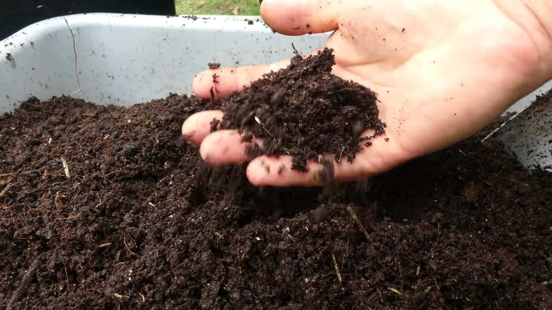 Growing carrots without a garden