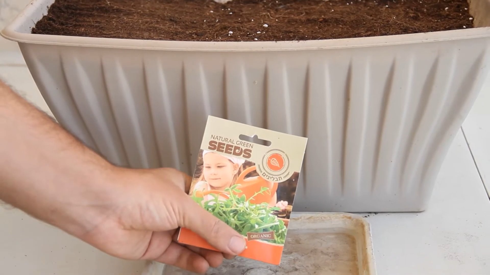 Grow Arugula Indoors