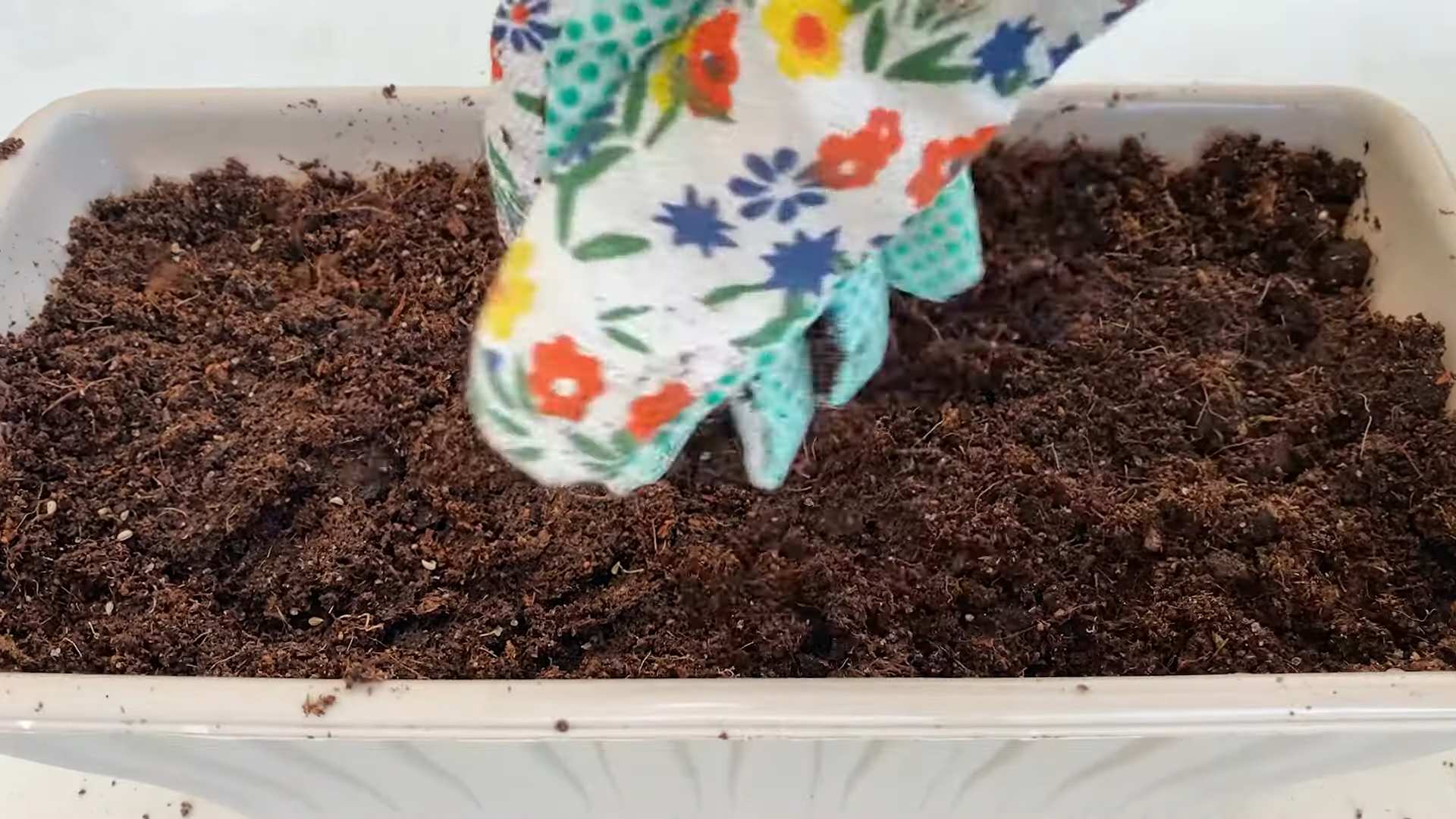 Fresh Parsley Kitchen Setup