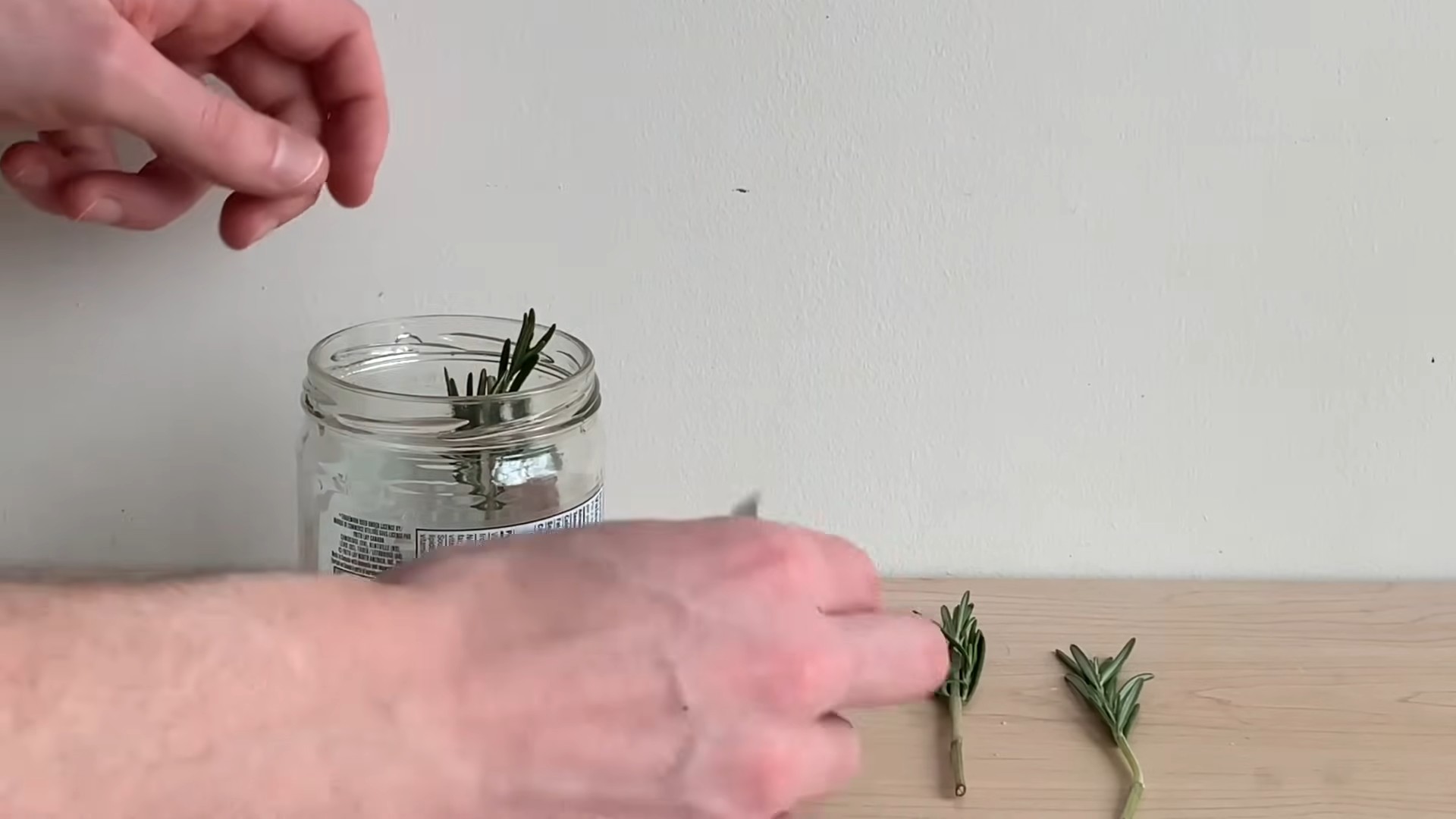 Water propagated rosemary